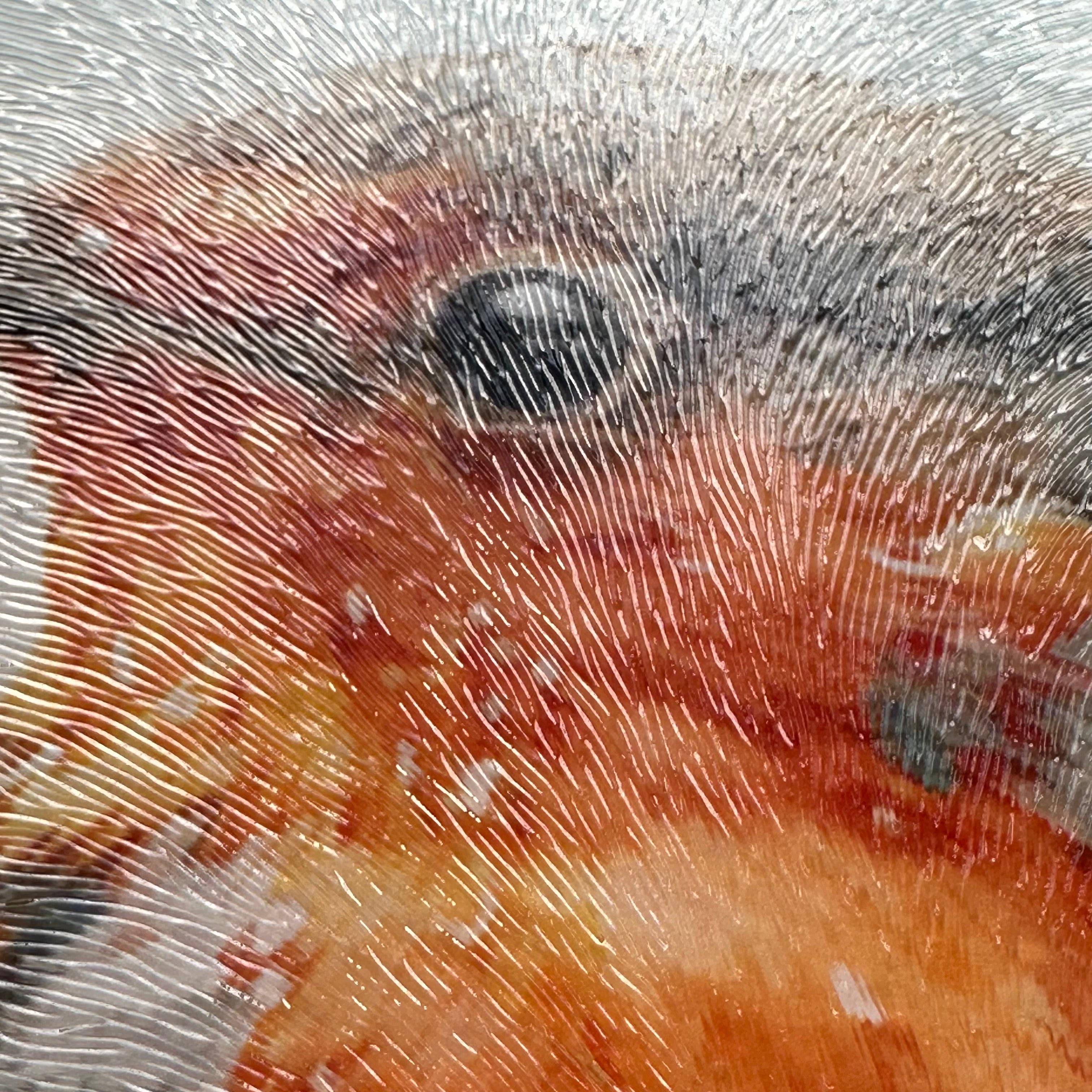 Robin Worktop Saver & Chopping Board