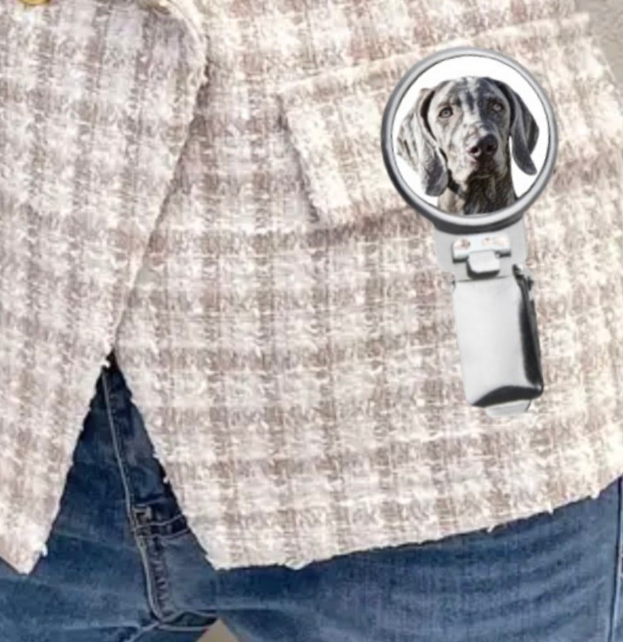 Dog Breed Show Clips (20+ Designs)