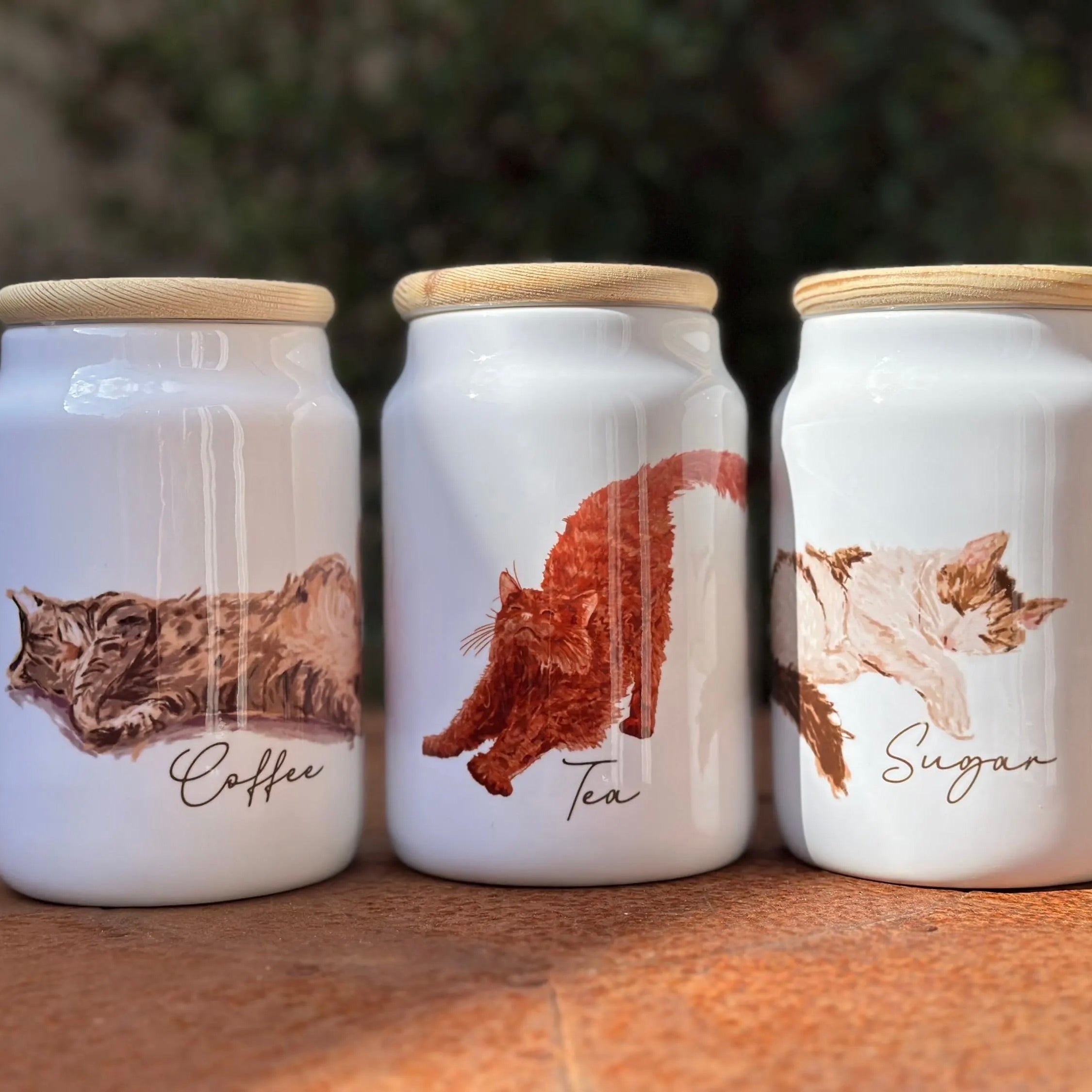 Cat Themed Storage Jars